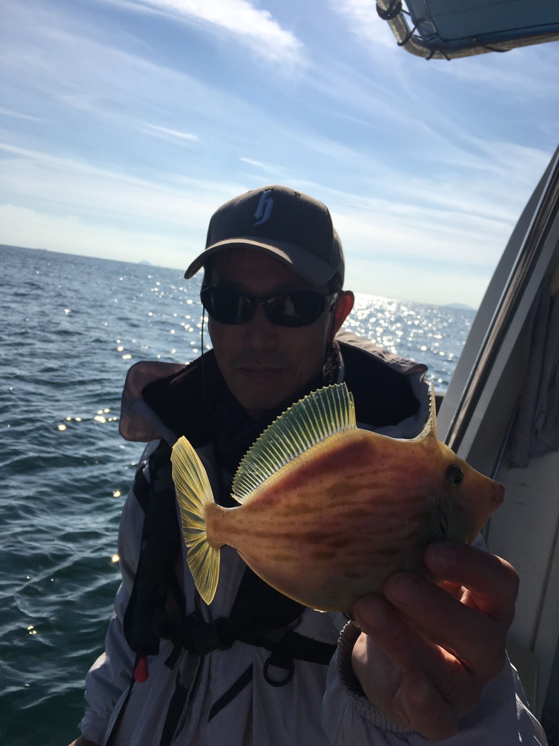 2016�N,12��18��,�J���n�M�ނ�,�މʌ���